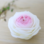 薔薇のプリンセス ＜天然の蜜蝋のフラワーキャンドル〉
