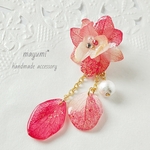 コットンパールと花びらの雫.*✿紫陽花ピアス-Fire red cottonpearl flower-【ファイアレッド】