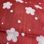 alion様専用