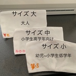 【送料無料】大人用 さらし立体インナーマスク３枚