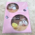 ハムスタークリアファイル
