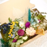 botanicalカラフルドライフラワー 詰め合わせセット＊花材セット