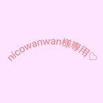 nicowanwan様専用♡ 大ポーチ