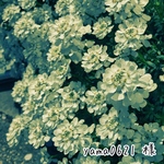 yama0621 様 専用