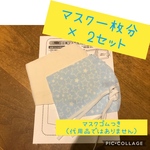 立体マスク　ハンドメイドキット２枚分