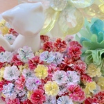 かすみ草ドライフラワー