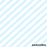 【専用】mikacheeさま