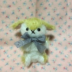 ミニしろとゴールドのうさぎ
