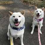 R様専用です