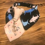 犬・猫の首輪　28～31　cocochanネクタイチョーカーNEO　黒・サメ・アンカー・1点限り