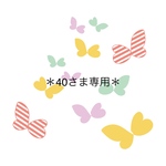 ＊40さま専用＊