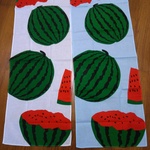 夏の暖簾    スイカ🍉