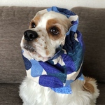 大柄水玉❤︎ブルー　中型犬用スヌード　犬用スヌード