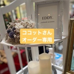 べっこうのアシメピアス