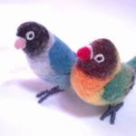 【kingfisherさまご注文品】インコセット         