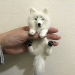 ポケットブローチ（オオカミC）