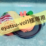 eyatsu-vol1様専用