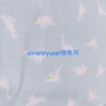 soraniryusei様専用