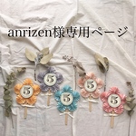anrizen様専用ページ