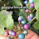 puripurhmokaさま専用
