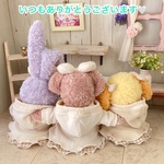 meg330様⭐️専用⭐️