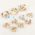 専用ページ