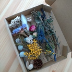 [送料無料]ドライフラワーBOX①