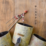 サーカステント鉢