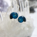 【nanoアンモナイト 舞踏会のマスク】両耳ピアス