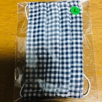 ハンドメイドマスクLサイズ