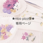 ★nico pico様★専用ページ