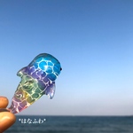 *ジンベエザメ（水面模様）#20