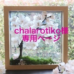 chalarotiko様 専用ページ