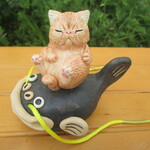 地震なまず★エキゾチックショートヘア①