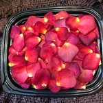 お得用★ミニ薔薇の花びら3gセット（大きめ）ドライフラワー★花弁ミニローズ★押し花素材　フラワーシャワーにも★