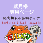 [紫月様専用]爬虫類グッズ