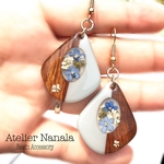 本物のお花ピアス/イヤリング