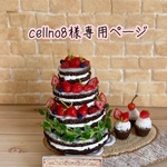 cellno8様　専用ページ