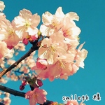 smilegk 様 専用