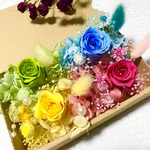 豪華ローズガーデンコンパクト＊ハーバリウム　花材ドライフラワー  花材詰め合わせセット＊ハーバリウム　花材ドライフラワー　花材詰め合わせセット