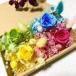 4色セット！色とりどりのカラフルローズ＊ハーバリウム　花材ドライフラワー 花材詰め合わせセット