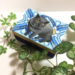 手描き 猫の木箱 小物入れ 原画 手書き 猫  絵 絵画 イラスト アート ブリティッシュショートヘア ブリショー