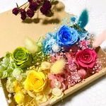 カラフルラブリーローズ＊ハーバリウム　花材ドライフラワー  花材セット