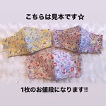 大人用　インナーマスク