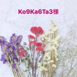 Ko9Ka6Ta3様専用