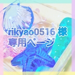 rikyao0516 様専用ページ