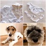 15日販売★うちの🐶baby♡オヨウフク