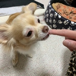 リュカ様専用ページ✨福袋