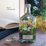 ハーバリウム　whiskey bottle 〜菜の花畑で会いましょう〜　