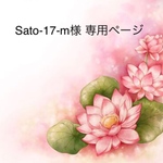 ✿Sato-17-m様 専用ページ✿